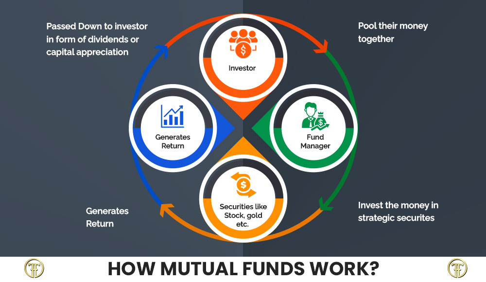 Understanding the Connection Between Business Fundamentals and Market Valuation: A Comprehensive Guide for Long-Term Stock Investors