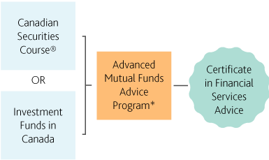 Understanding Industry Cycles: A Key to Long-Term Stock Investment Success