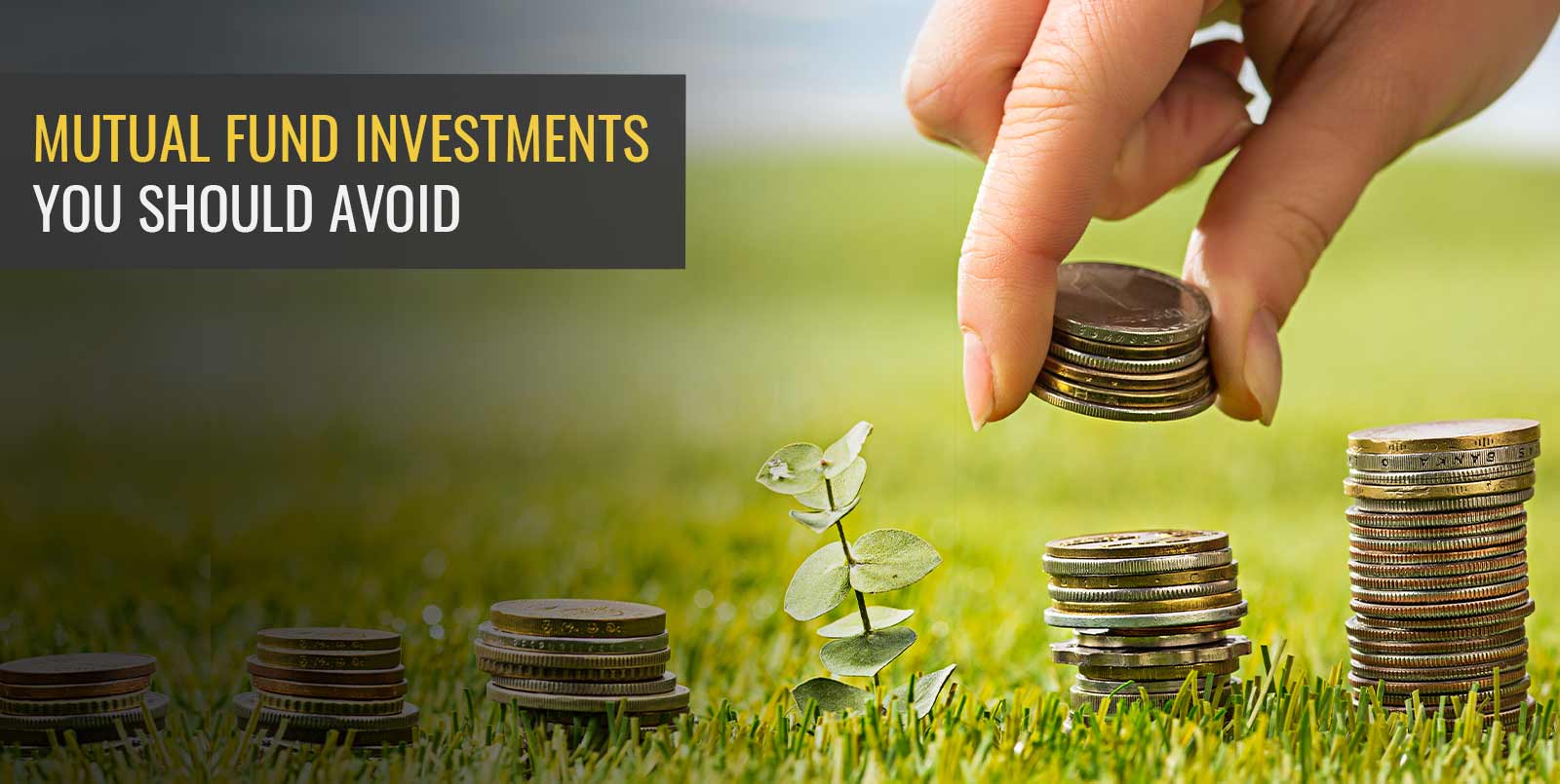 Balancing Growth Potential and Valuation: A Guide for Long-Term Stock Investors