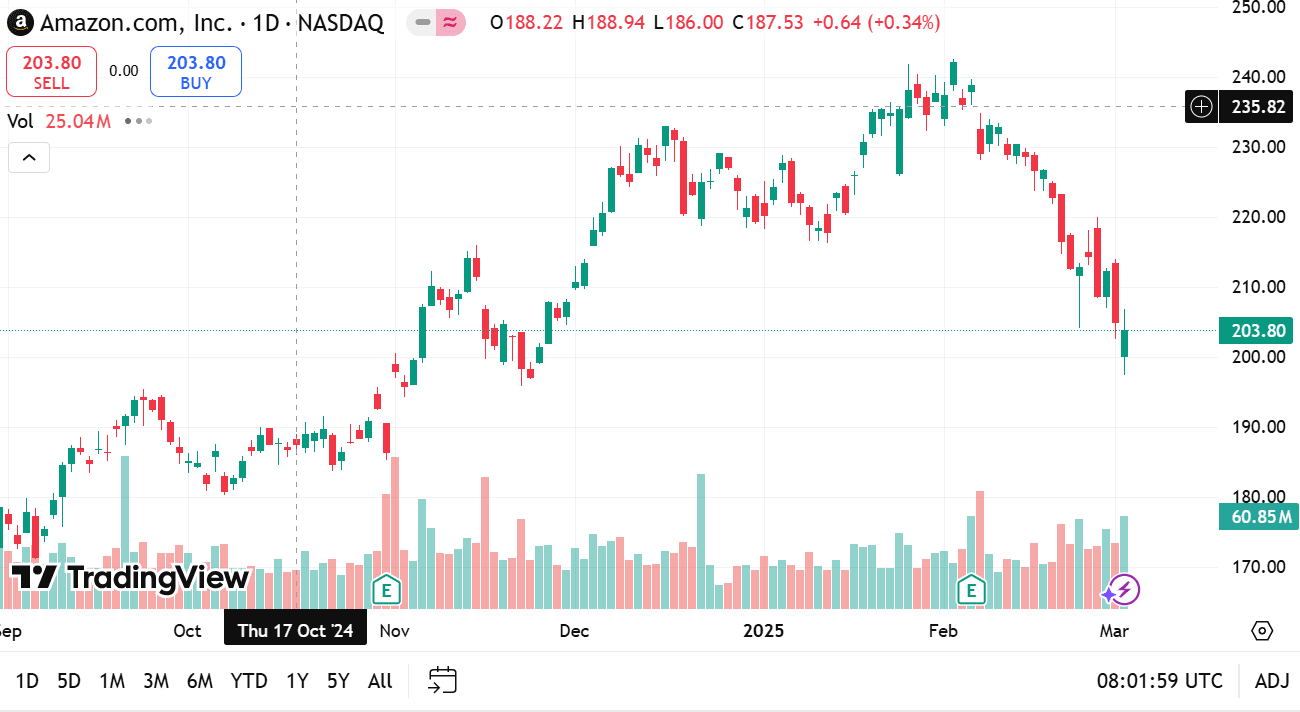 Reassessing Your Investment Thesis: Timing and Approach in a Volatile Market