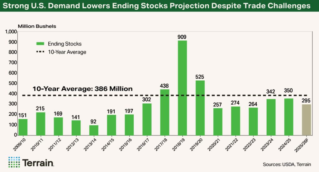 Understanding Managements Demand Outlook: A Key to Long-Term Investment Success