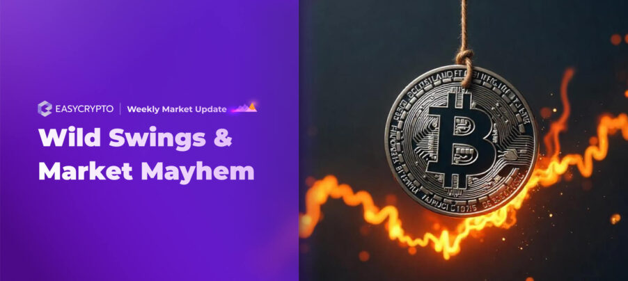 Understanding Earnings Growth Comparison Across US Stocks: An Investment Perspective