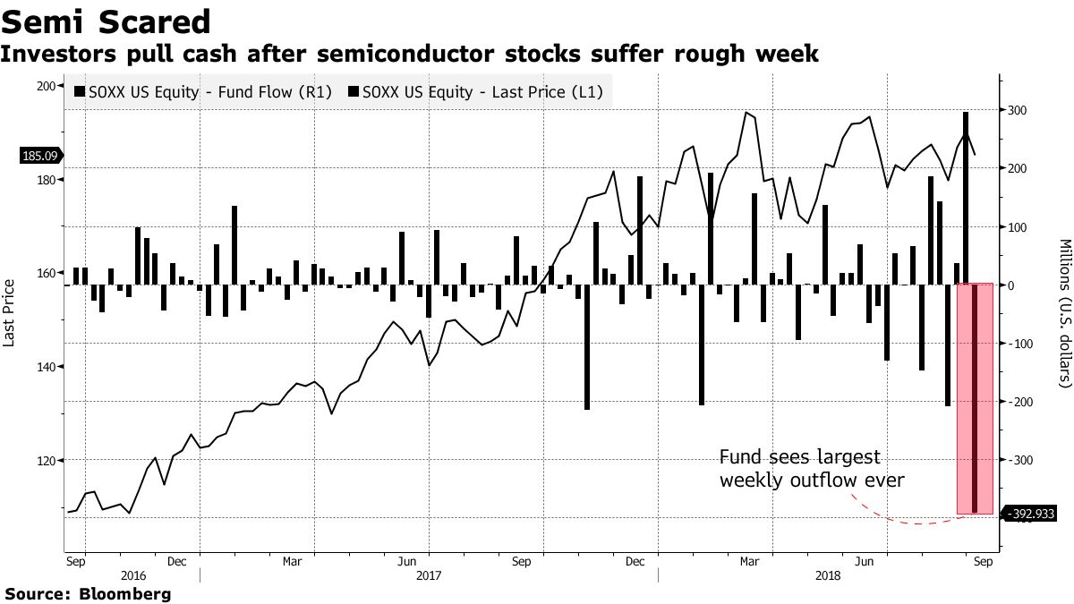 Unmasking Industry Leaders: A Comprehensive Guide for Long-Term Stock Investors