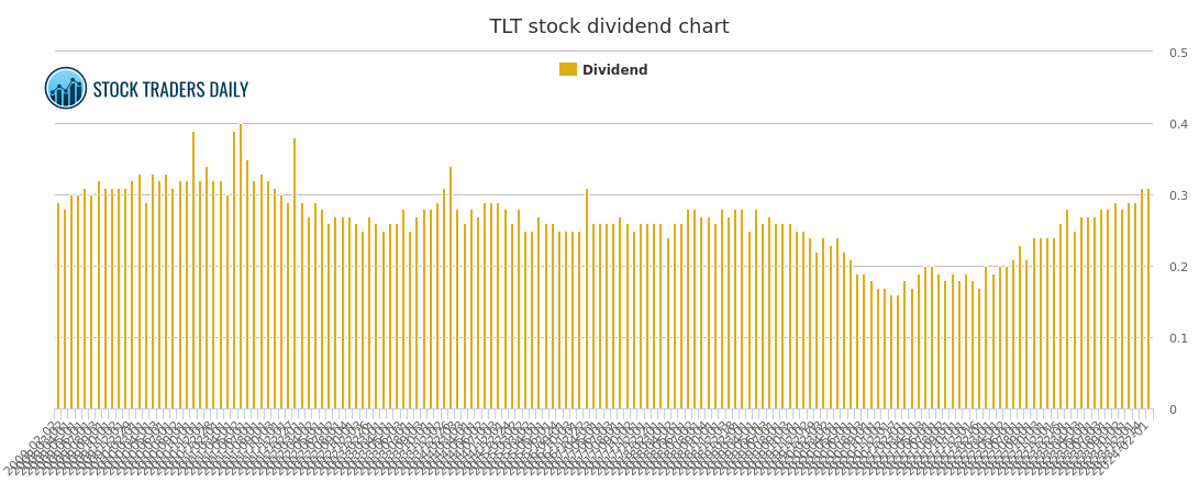 Decoding the Art: How Analysts Document Stock Ideas for Long-Term Investment Success