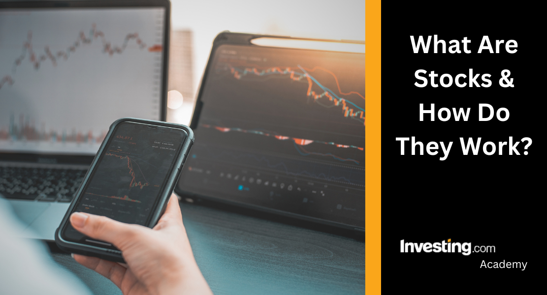 Leveraging Historical Data in Stock Valuation: A Long-Term Investment Perspective