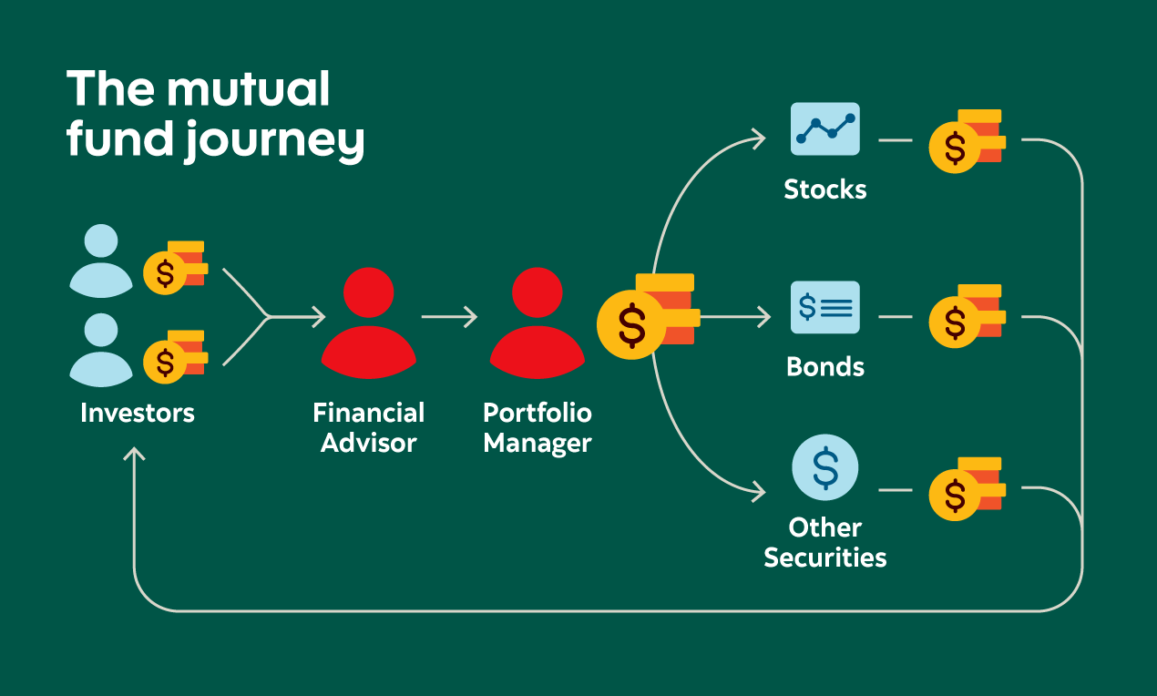 Value Investing Consultation: A Deeper Look into US Stocks