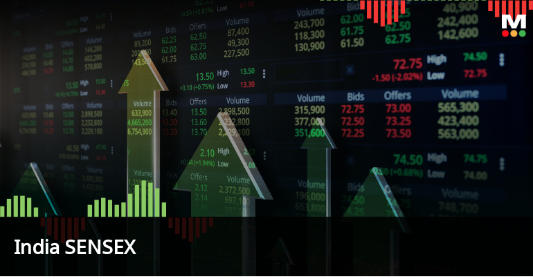 Understanding Sector Overvaluation in the US Market: A Case Study and its Implications for Long-Term Stock Investors