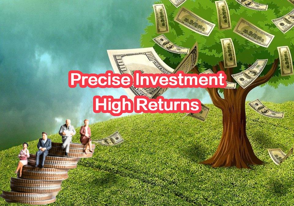 Investing in a Diversified Portfolio: A Long-Term Strategy for U.S Investors