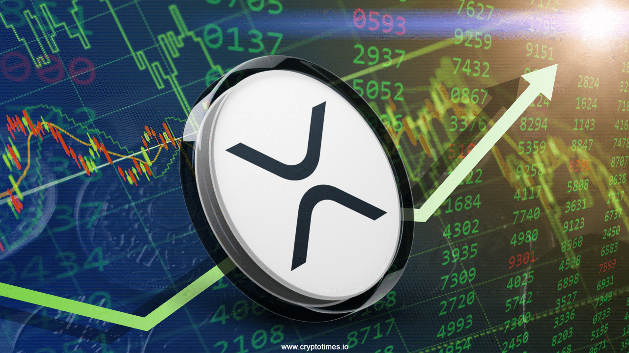 Understanding US Stock Research Fundamentals: A Guide for Long-Term Investors