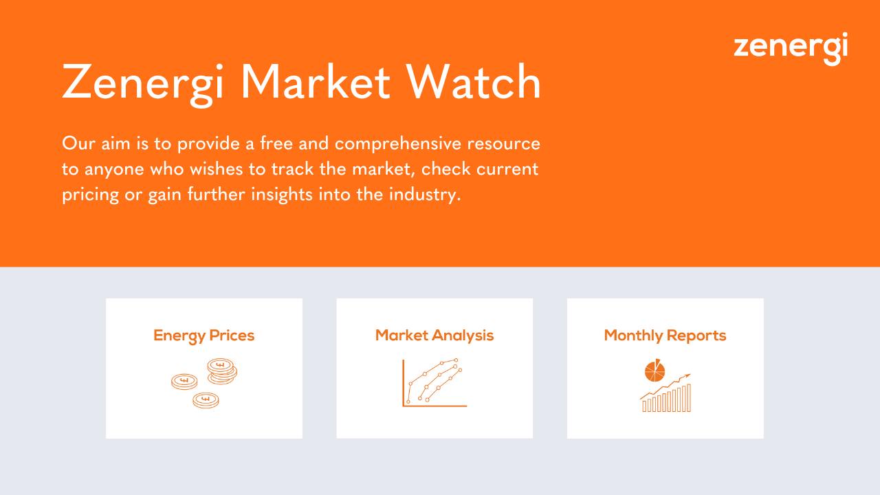 Understanding the Mispriced Risk in US Equities: A Case Study Approach for Long-term Investors