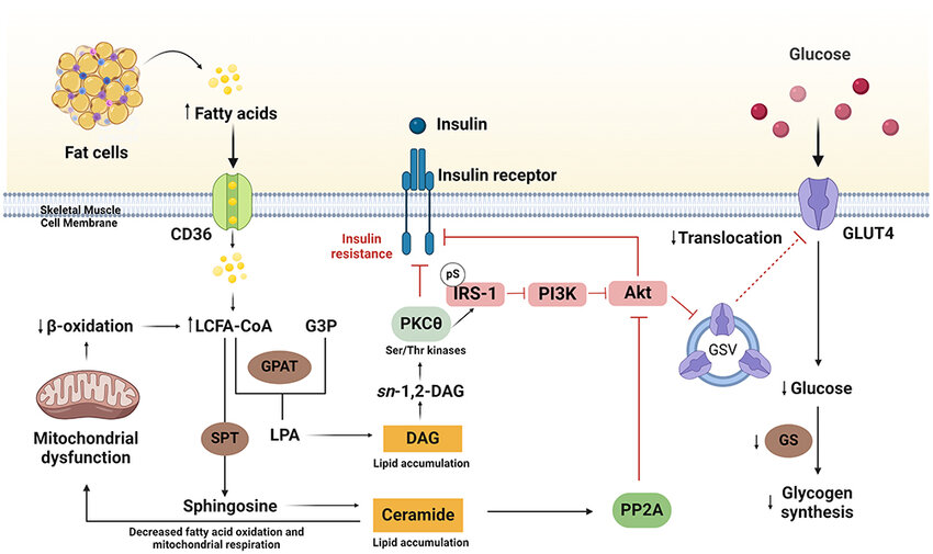Challenges in Long-Term Forecasting: An Investment Perspective