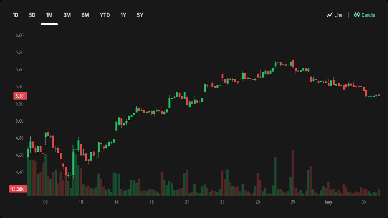 Decoding Financial Warning Signals in US Equities: A Long-Term Investors Guide